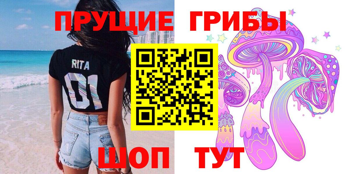 Псилоцибиновые грибы прущие грибы  Вход с VPN  Киров  Галлюциногенные грибы Psilocybe 